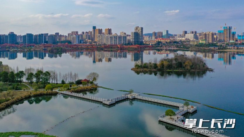 春日暖阳里，市民在西湖文化园步行廊道上休闲散步