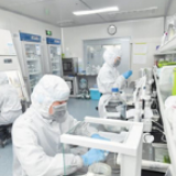 疫情下长沙中小企业迎难而上 生产经营活力四射