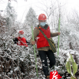 国网保靖供电公司：迎风踏雪保供电防疫情