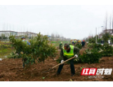 立春过后植树黄金期，南县疫情防控与造林绿化两手抓