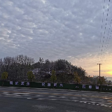 永州·驰援湖北医疗队员孙婷的日记：风雪过后，那是春天的消息