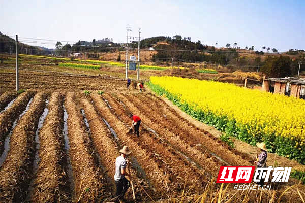 岩泉镇竹渚村_副本.jpg