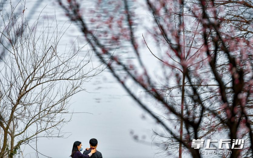 裕湘纱厂旧址旁的湘江风光带上，一对情侣在江边漫步。