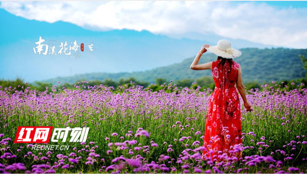 南溪花海_副本.jpg