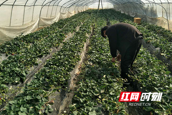 789复的.jpg 789复的.jpg