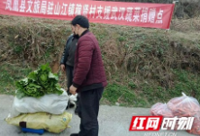 凤凰：稼贤村村民自发捐赠4000斤蔬菜支援武汉