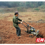 泸溪：和疫情赛跑 抢抓农时忙春耕