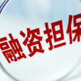 助力企业发展 湖南联邦兴业融资担保集团推出抗疫五项举措