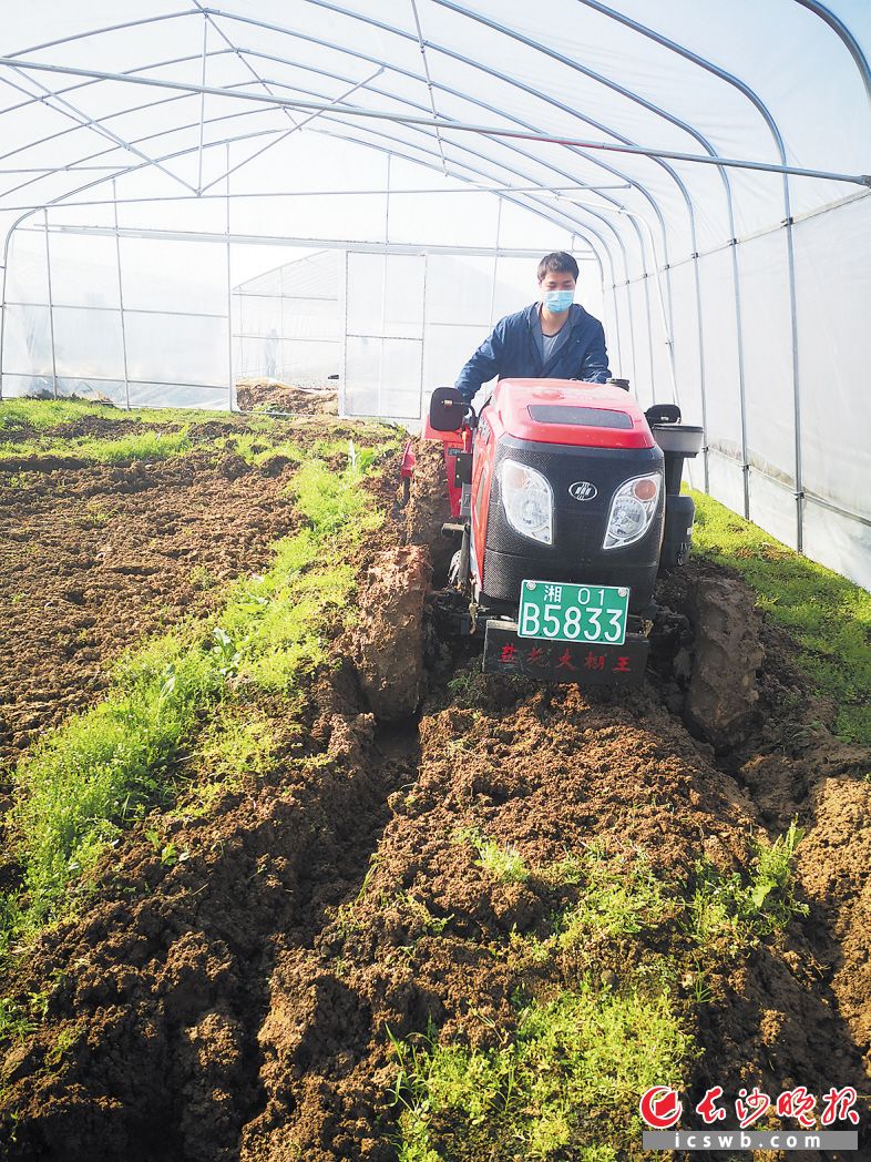 　　望城区设施蔬菜示范园内，技术员李杨鹏正在田地中驾驶着翻耕机。