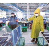 打好总体战 下好先手棋