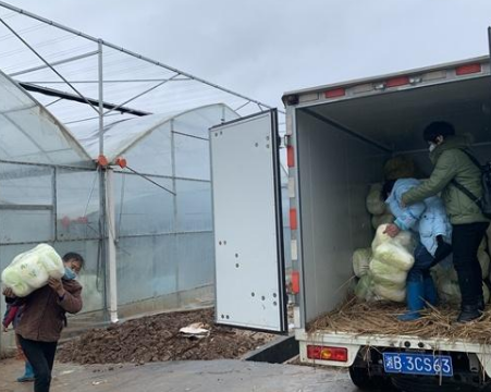 【抗击疫情在茶陵】茶陵：强基固本兴产业，爱心蔬菜暖人心
