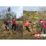 邵阳市第二人民医院组织党员志愿服务队开展义务植树活动