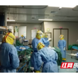 他们是株洲定点医院救治新冠肺炎重症患者的＂王炸＂团队