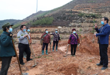 衡东县：吹响春季造林“踏疫”前行的冲锋号