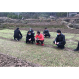 市城投驻村扶贫工作队：打好组合拳  防疫扶贫两不误