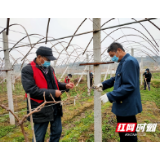 湖南津市：采摘园里的爱心“春耕侠”