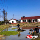 宽渠道稳成果 大通湖区民和村多措并举促脱贫