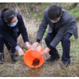 视频|邵阳县救助并放生一只国家一级保护动物平胸龟