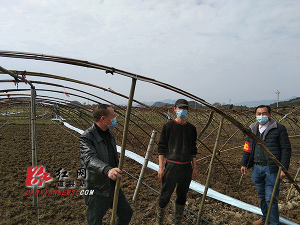 濂西村西瓜大棚进行翻耕平整.gif