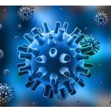 浙江省一监狱34名罪犯确诊新冠肺炎 监狱政委监狱长被免职