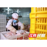 洪江区“送工上门”让企业“零见面”招聘