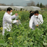 永州：保障食品安全 助力疫情防控