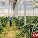 “疫”丝不苟严防控 全力以“复”促生产