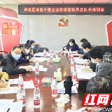 芦淞区全面压实小微企业复工复产防疫监督责任