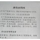 【桑植警事】桑植县公安局：疫情防控和驻村扶贫两手抓