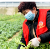 20多天过去了 这个村子的爱心仍在蔓延