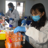 株洲云龙：“三个转变”助推企业项目复工