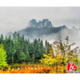 保靖：一手抓疫情防控，一手抓恢复生产