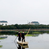 防疫与扶贫齐抓共进 长沙望城区“荷花虾”养殖基地复工忙