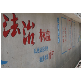 借“大战”“大考”补齐法治短板 