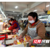 洞口工业园区：复工复产忙