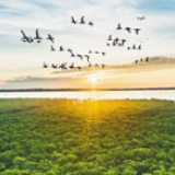 中国生态环境质量未受疫情影响 湖北水源地水质达标