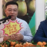 市长县长直播带货，一场严肃与活泼的相遇