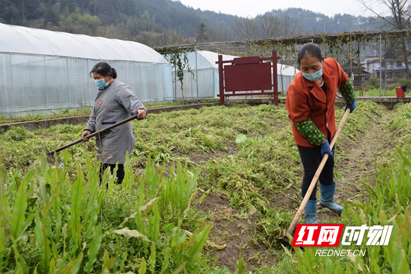 基地除草_副本.jpg