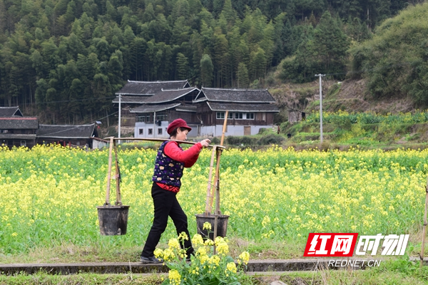 勤劳的村妇(1)_副本.jpg