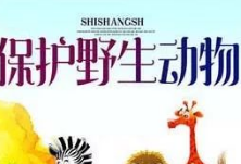 湖南省市场监管局：这些野生动物违规交易案例将从重、从快处理