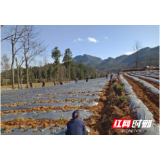 花垣：做好“五篇文章”保春耕