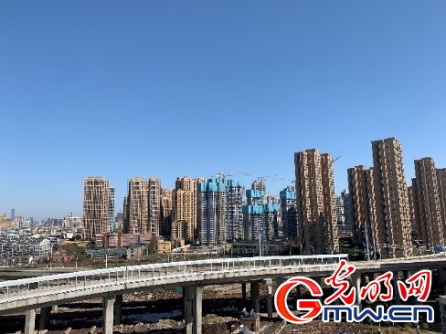一线医护日记(16)“春暖花开时,请带我们去武大看樱花吧!”