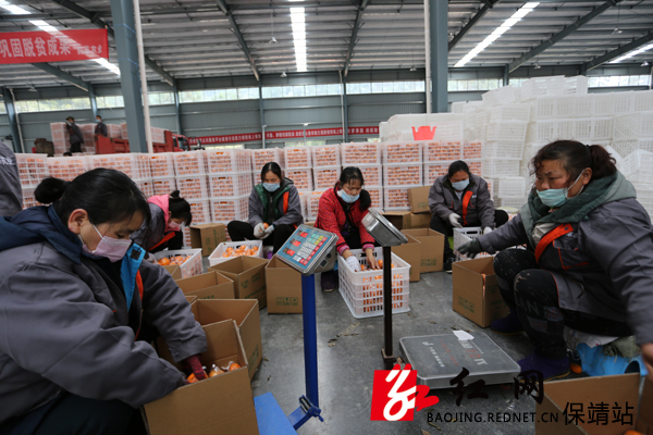 ???????????   ??? ?.JPG