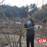 炎陵县派出农技专家指导 有序恢复春耕生产