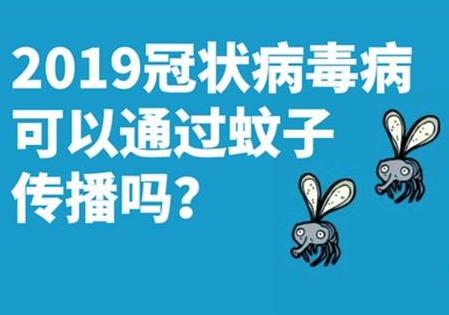 新冠病毒可通过蚊子传播？世卫组织：暂无证据