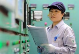 湖南省三八红旗手标兵 晏建新
