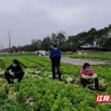 不负春光好 春耕备耕忙