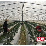 齐心战“疫”备春耕，抓住农时保生产