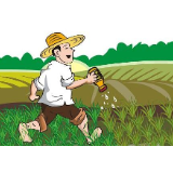 冷水滩区黄阳司镇：春耕生产正当时 农户栽种忙