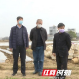 罗建华：疫情防控和烤烟生产两手抓、两不误